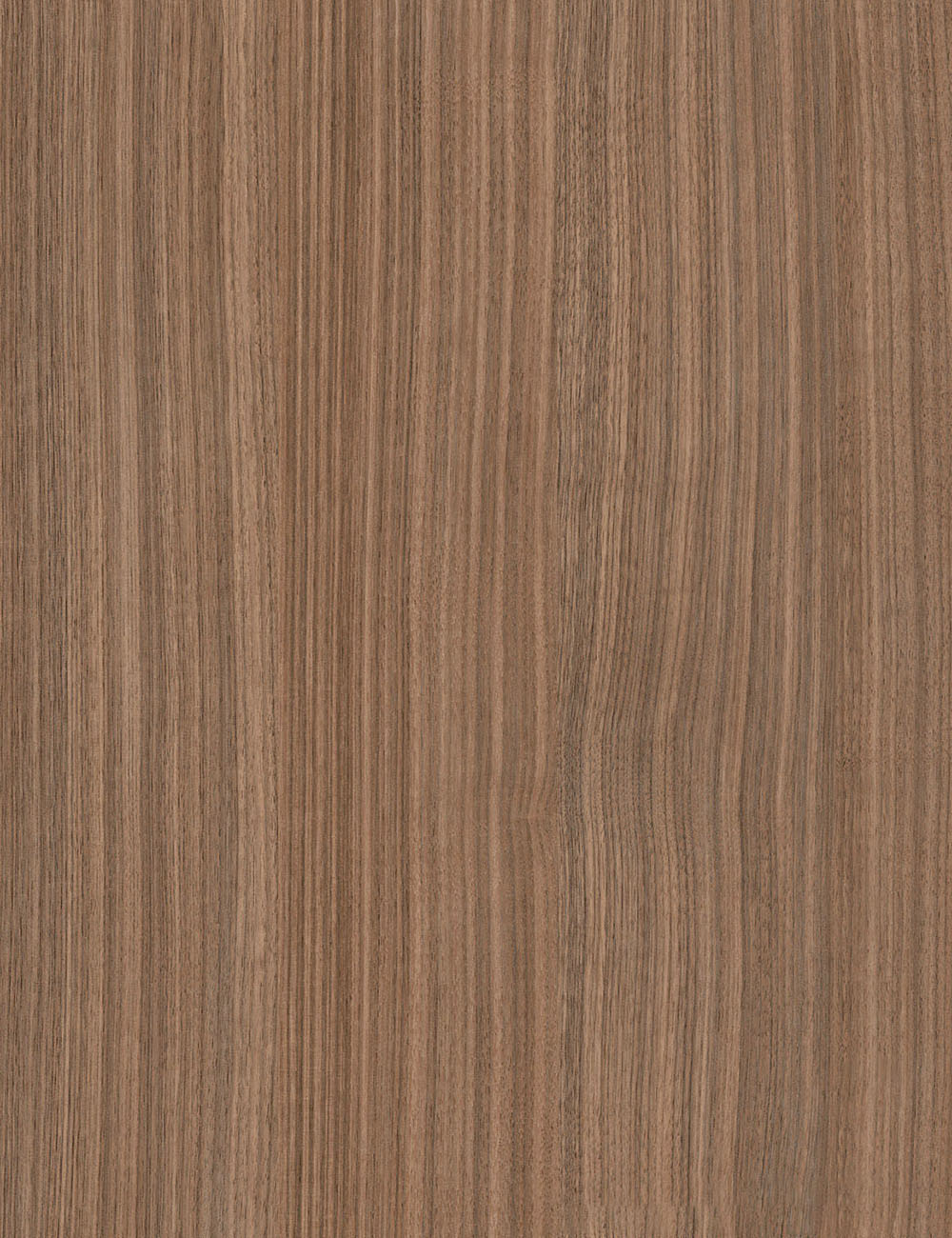 Straight Grain Walnut Modern 4x9ft Wood Grain Panel