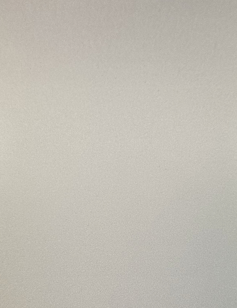 Lacquer Matte Silver 4x9ft Premium Door Panel