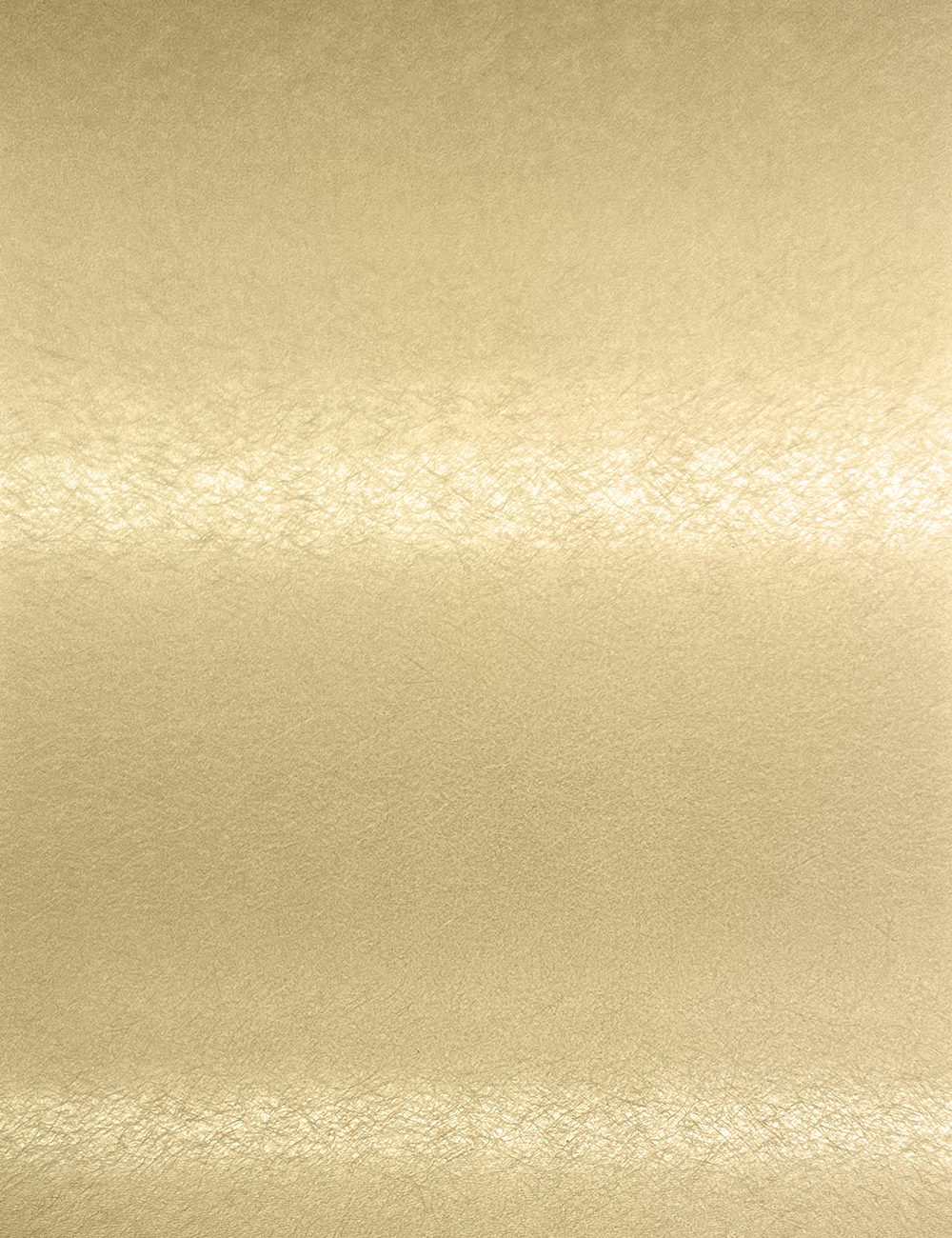 Lacquer Brushed Gold 4x9ft Premium Door Panel