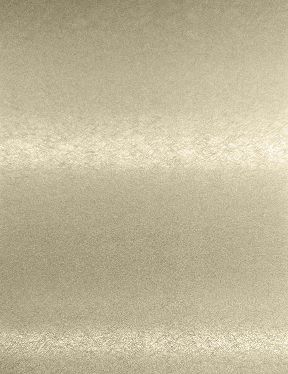Lacquer Brushed Copper 4x9ft Premium Door Panel