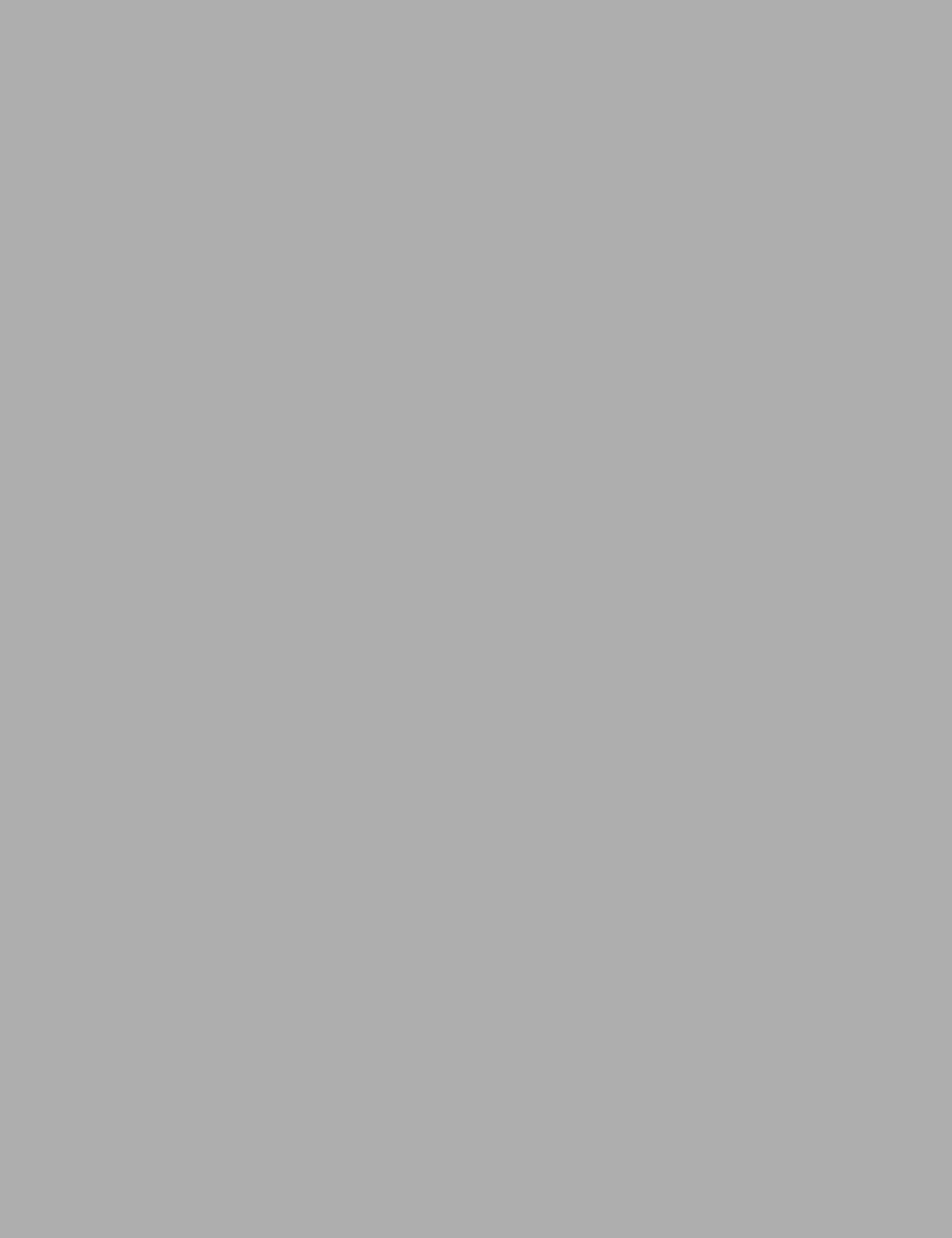 Lacquer Grey 4x9ft Premium Door Panel