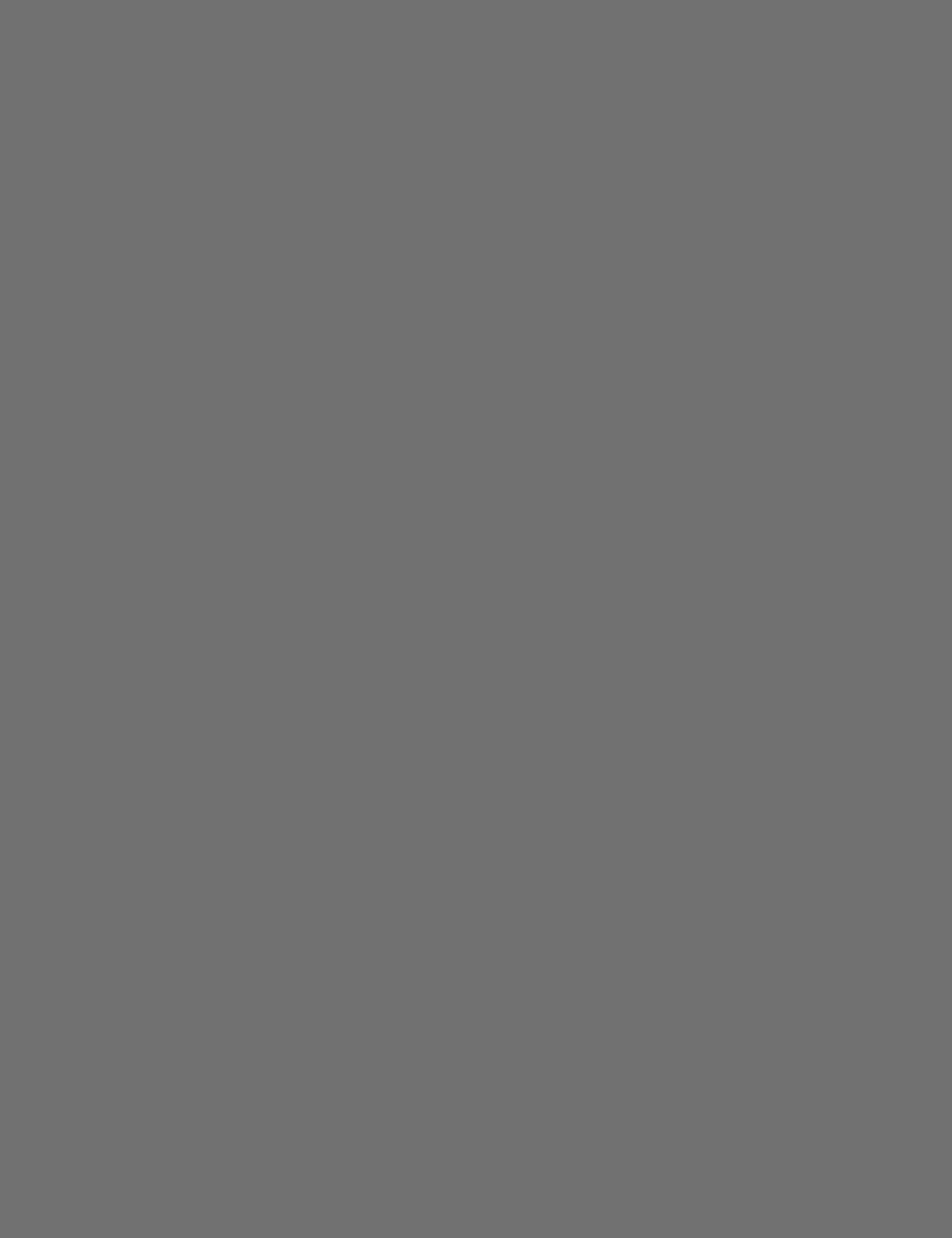 Lacquer Dark Grey 4x9ft Premium Door Panel