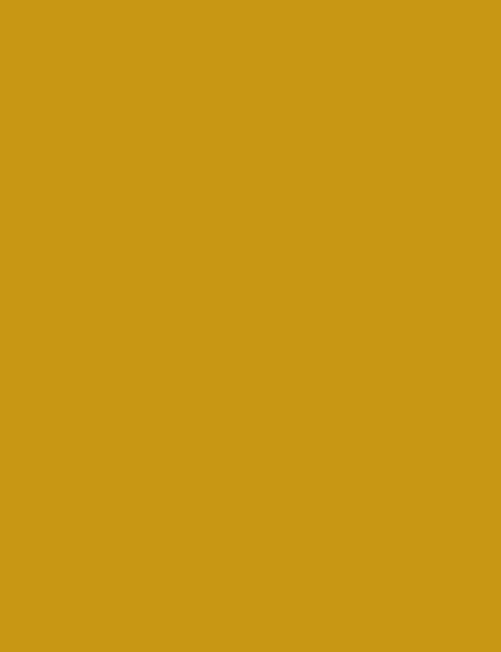 Lacquer Deep Yellow 4x9ft Premium Door Panel