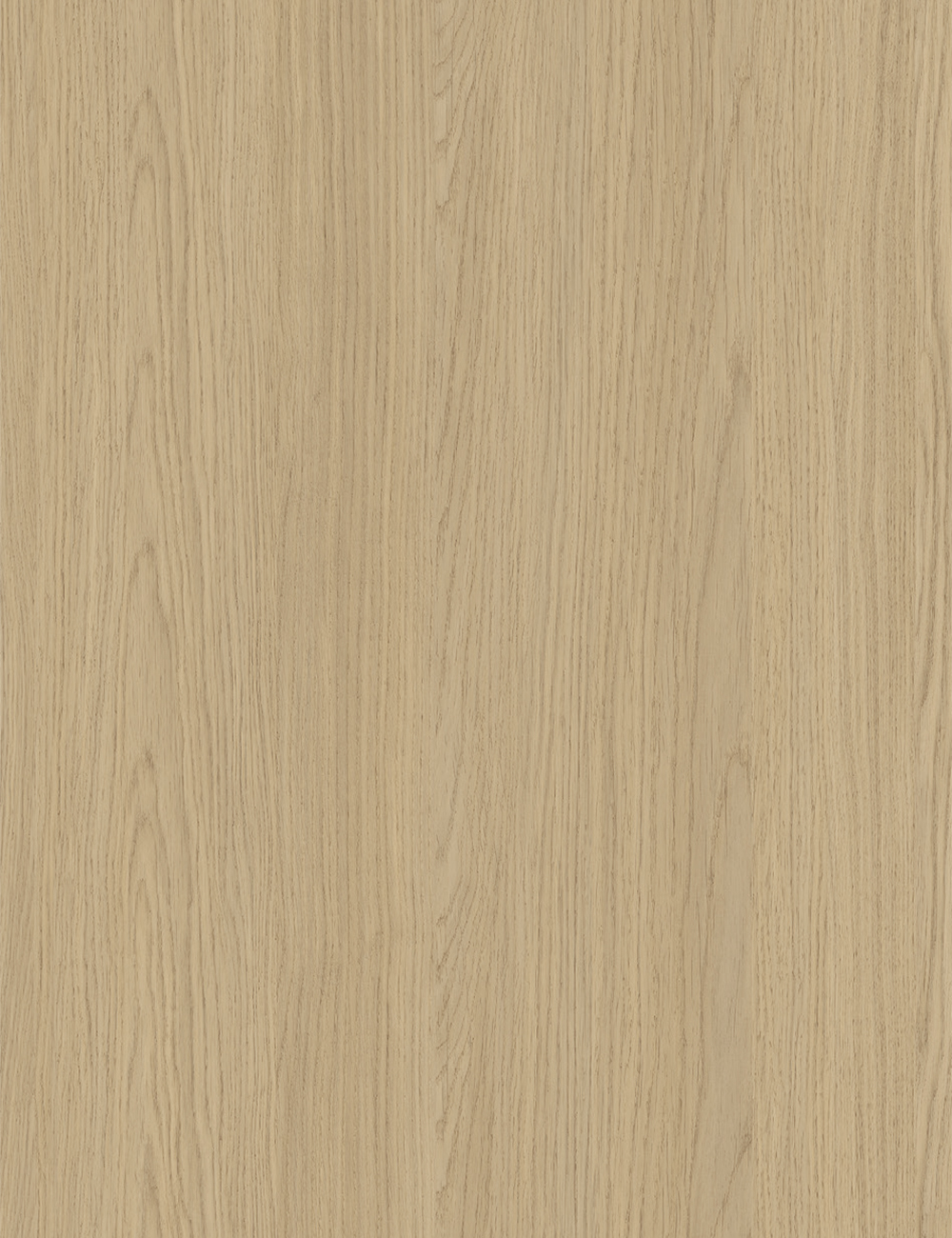 Rumba Light Oak Wood Grain Decorative Panel