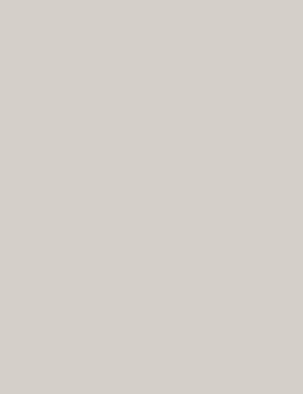 Light Grey 7x9ft Solid Color Panel