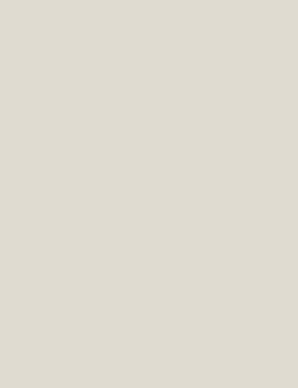 Light Coffee 4x9ft Solid Color Panel