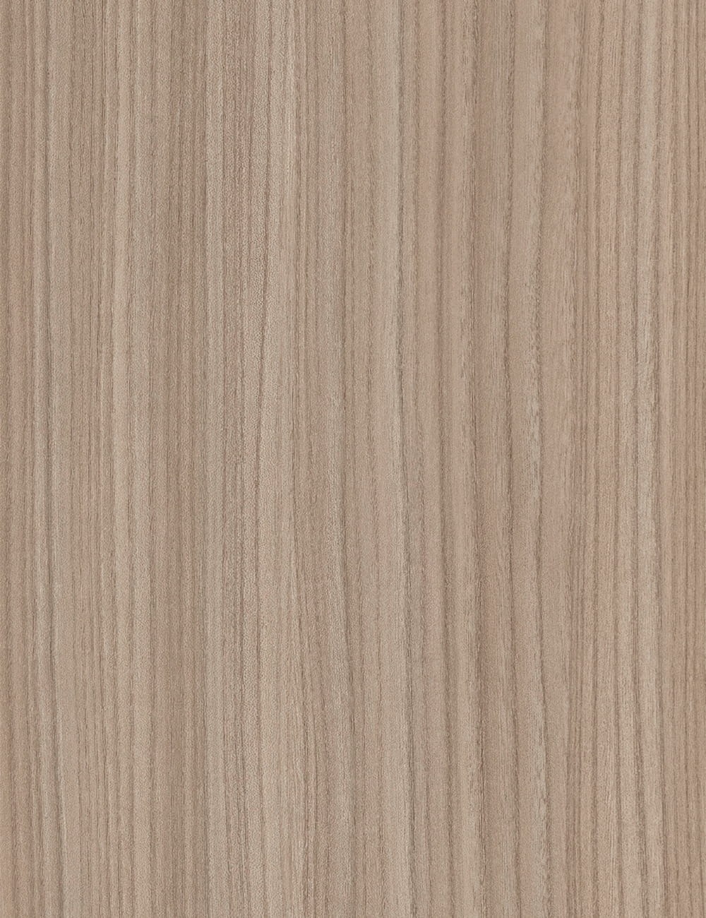Light Elm Wood Grain Decorative Panel