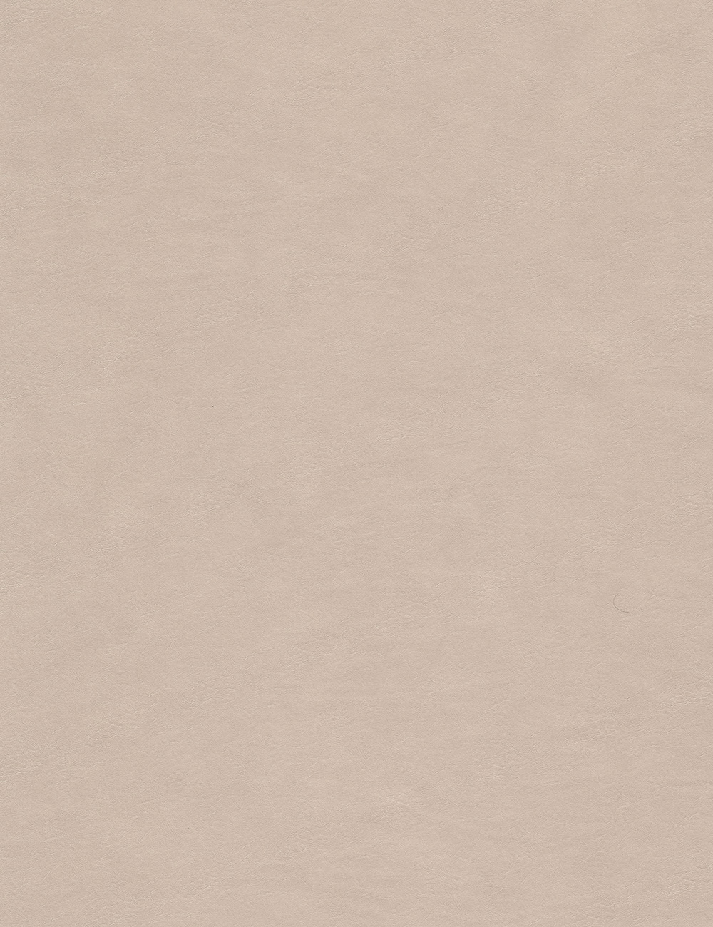Light Calf Leather 4x9ft Leather Texture Panel